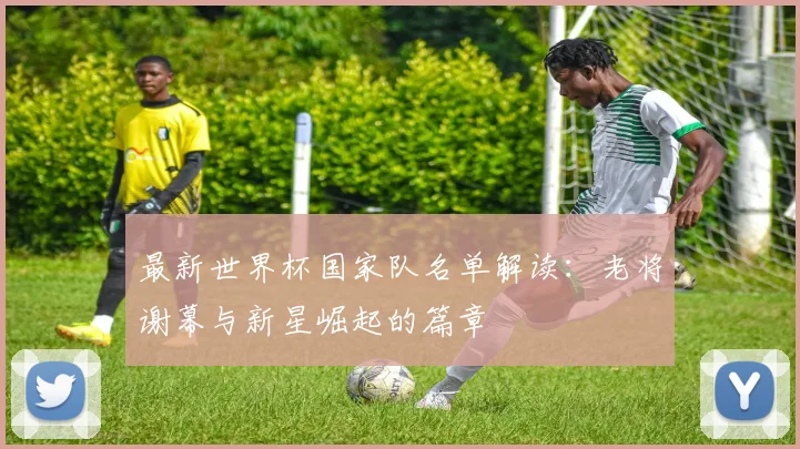 最新世界杯国家队名单解读:老将谢幕与新星崛起的篇章