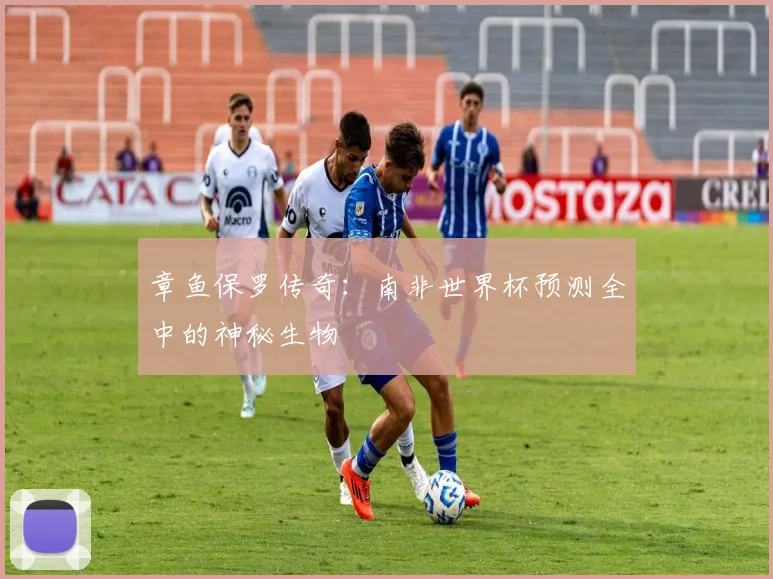 章鱼保罗传奇：南非世界杯预测全中的神秘生物