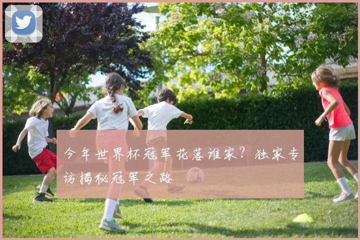今年世界杯冠军花落谁家?独家专访揭秘冠军之路