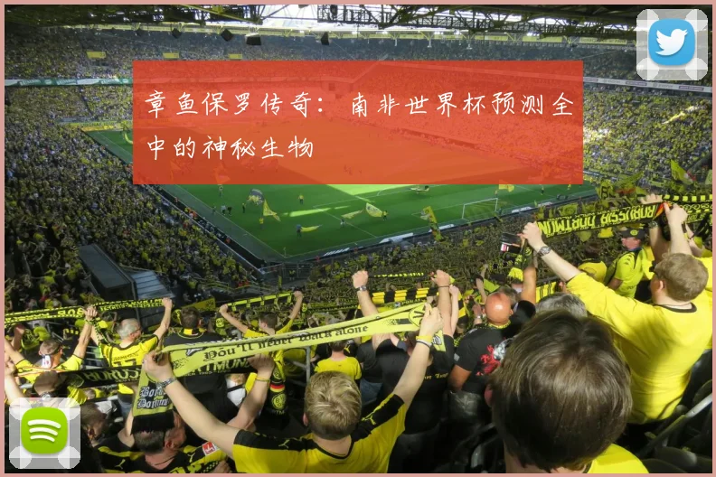 章鱼保罗传奇：南非世界杯预测全中的神秘生物