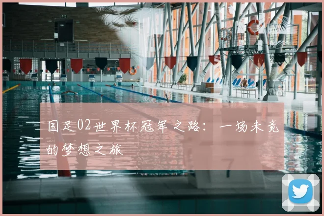 国足02世界杯冠军之路:一场未竟的梦想之旅