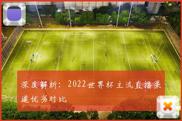 深度解析:2022世界杯主流直播渠道优劣对比
